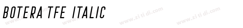 Botera TFE Italic字体转换